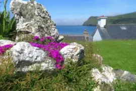 NATUREZA jigsaw puzzle