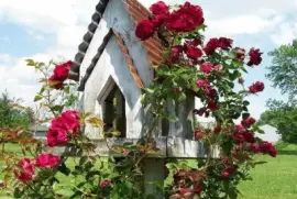 Capella jigsaw puzzle