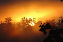 Orange dawn jigsaw puzzle