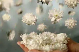 imagens jigsaw puzzle