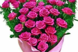 imagens jigsaw puzzle