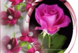 imagens jigsaw puzzle