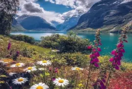 paisaje jigsaw puzzle