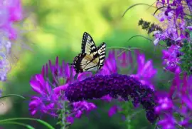 imagens jigsaw puzzle