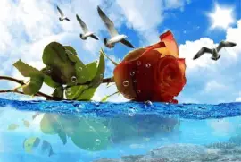 imagens jigsaw puzzle