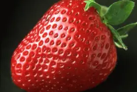 Fresa-Dulce-Deliciosa jigsaw puzzle