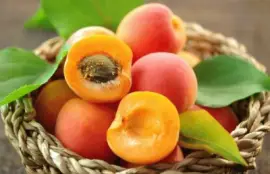 ALBICOCCHE jigsaw puzzle