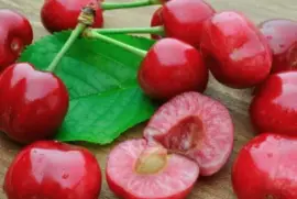 AMARENA jigsaw puzzle