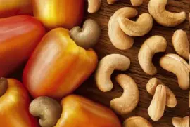 ANACARDIO jigsaw puzzle