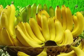 BANANA jigsaw puzzle