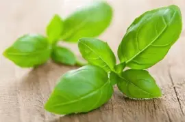 BASILCO jigsaw puzzle