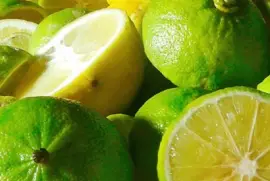 BERGAMOTTO jigsaw puzzle