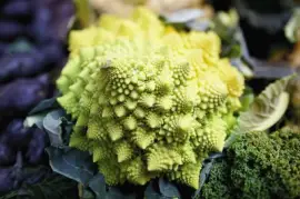 BROCCOLO jigsaw puzzle