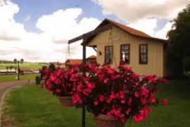 NATUREZA jigsaw puzzle