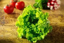 פאזל של insalata