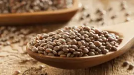 פאזל של lenticchie