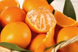 פאזל של mandarino