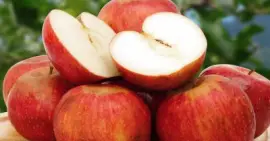 פאזל של mela annurca