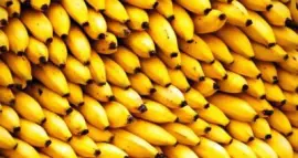 Bananas jigsaw puzzle
