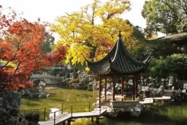 æ¥“ jigsaw puzzle