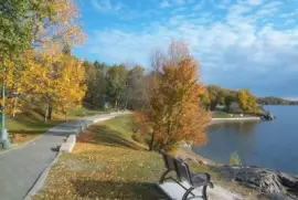 NATUREZA jigsaw puzzle