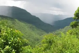 imagens jigsaw puzzle