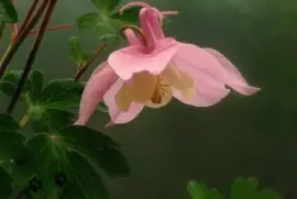 imagens jigsaw puzzle