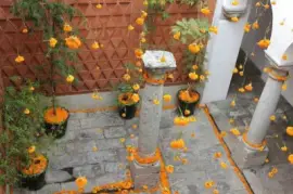 NATUREZA jigsaw puzzle