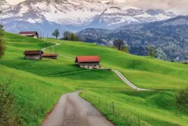 â™¥ jigsaw puzzle