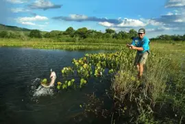 Pesca de TraÃ­ra em aÃ§ude jigsaw puzzle
