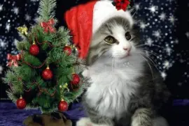 imagem jigsaw puzzle