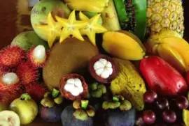 Exotic Fruits and Vegtables