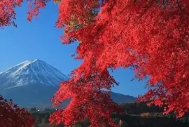 Monte Fuji-JapÃ³n