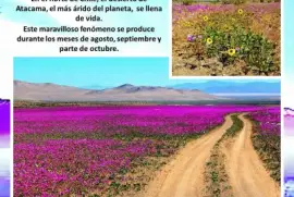 CHILE - DESIERTO DE ACATAMA