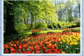 ESTO SI ES UN HUERTO PERFECTO