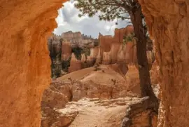 pitchers of the grand canyon