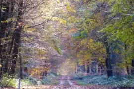 פאזל של Lugares MAGICOS !!!!!!!