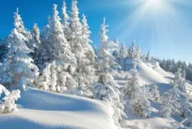 פאזל של imagem