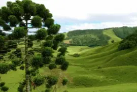 פאזל של imagem