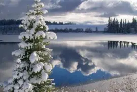 פאזל של imagem