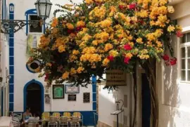 Lugares MAGICOS !!!!!!! jigsaw puzzle