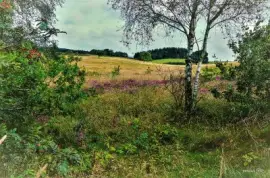 פאזל של images