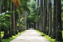 פאזל של imagem