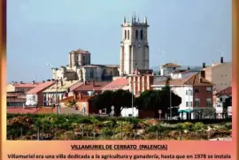 VILLAMURIEL DE CERRATO  (PALENCIA)