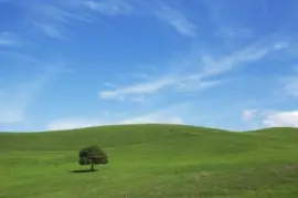 פאזל של Azul   Verde