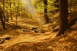 פאזל של Lugares MAGICOS !!!!!!!