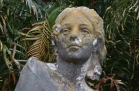 פאזל של acores