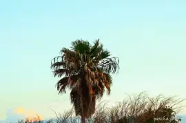 פאזל של mallorca