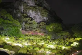 פאזל של imagem