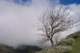 פאזל של gran canaria / passat